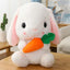 Big Ear Bunny Stuffed Animal