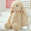 Toy Bunny Stuffed Animal