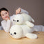 Harp Seal Stuffed Animal