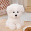 Bichon Frise Stuffed Animal 