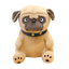 Big Pug Stuffed Animal 