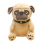 Big Pug Stuffed Animal 