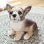 Realistic Dog Breed Stuffed Animal