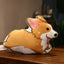 Pillow Corgi Stuffed Animal
