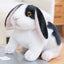 Realistic Bunny Rabbit Stuffed Animal