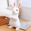 Realistic Bunny Rabbit Stuffed Animal