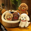 Teddy Maltipoo Dog Stuffed Animal