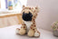 Pug Dog Stuffed Animal 