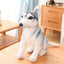 Siberian Husky Dog Stuffed Animal 