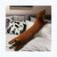 Weighted Wiener Dog Stuffed Animal 