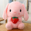 Big Ear Bunny Stuffed Animal