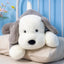 Floppy Dog Stuffed Animal