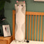 Giant Pillow Stuffed Animal 90cm 35in grey cat