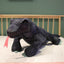 komodo dragon stuffed animal 