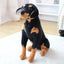 Life Size Dog Stuffed Animal 23cm 9in Dog 2