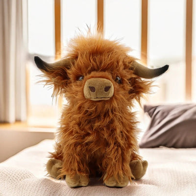 mini highland cow animal 