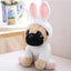 Pug Dog Stuffed Animal Rabbit 20cm 8in