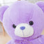 Purple Bear Stuffed Animal