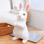 Realistic Bunny Rabbit Stuffed Animal 20cm 8in White Standing