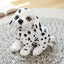 Realistic Dog Breed Stuffed Animal 20cm 8in Dalmatian