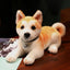 Realistic Shiba Stuffed Animal 30cm 12in E