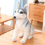 Siberian Husky Dog Stuffed Animal 90cm 35in sit