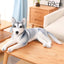 Siberian Husky Dog Stuffed Animal 69cm 27in lying