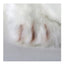White Seal Stuffed Animal