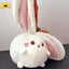 Wrapped Stuffed Animal
